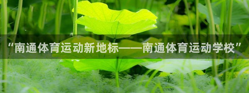中欧体育