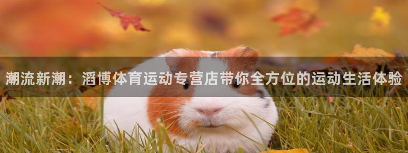 kok新版中欧体育