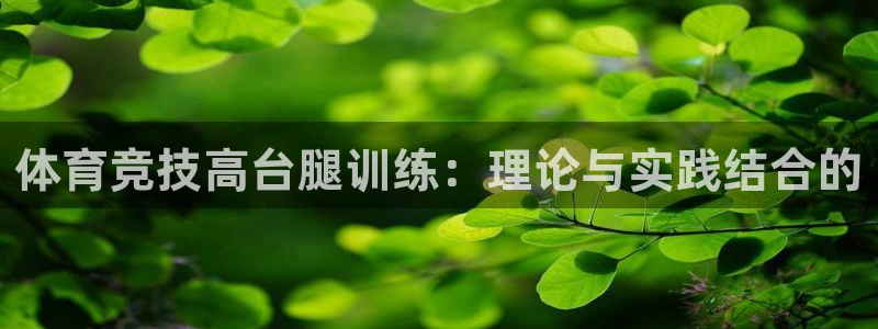 中欧体育kok
