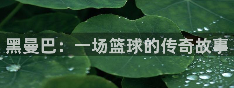 中欧体育zoty下载