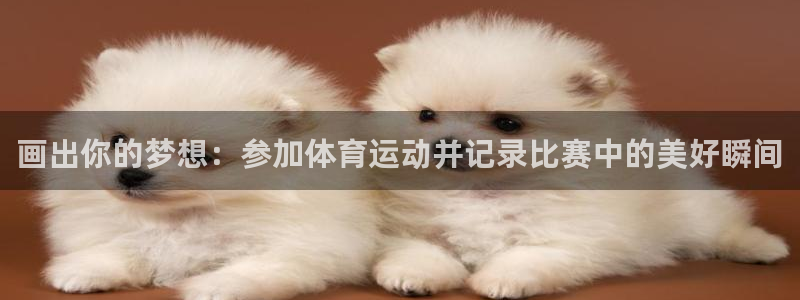 zyty中欧体育平台