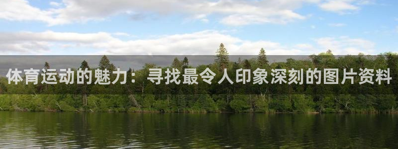 中欧体育zoty下载