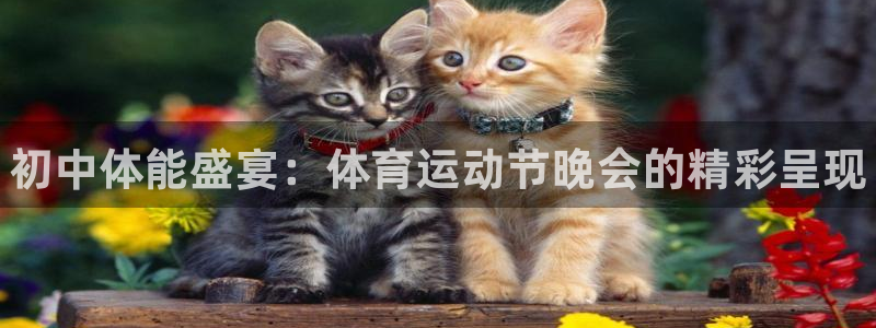 中欧体育在线