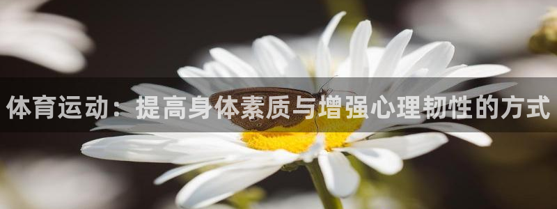 kok中欧体育登录
