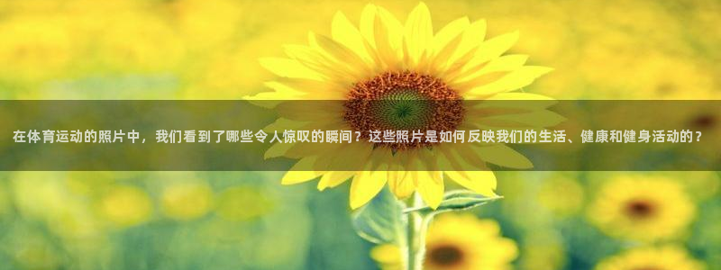 中欧体育app