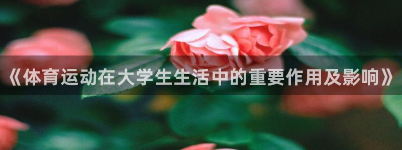 中欧体育最新地址
