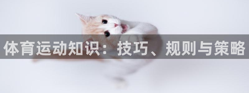 中欧体育kok官网首页