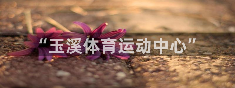 中欧体育kok官网首页