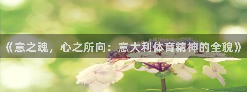 中欧体育kok官网首页