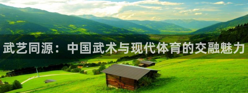 kok中欧体育