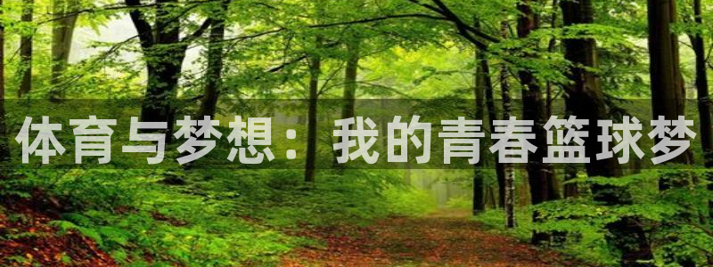 中欧体育kok