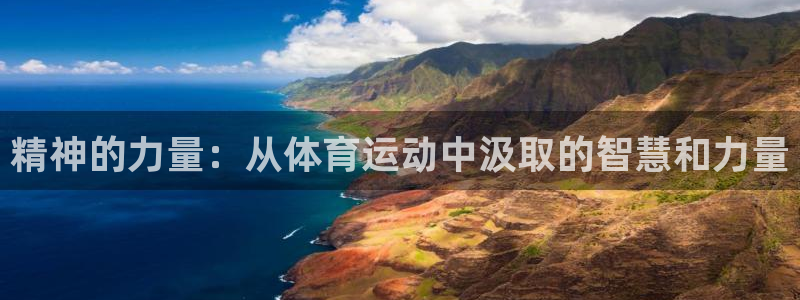 中欧体育官网