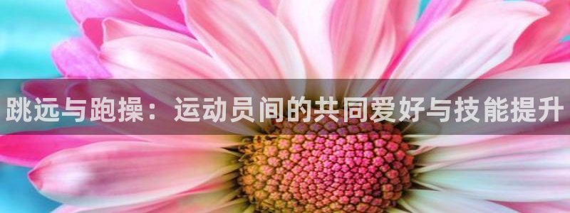 中欧体育网页版
