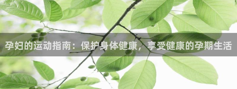 中欧体育zoty下载