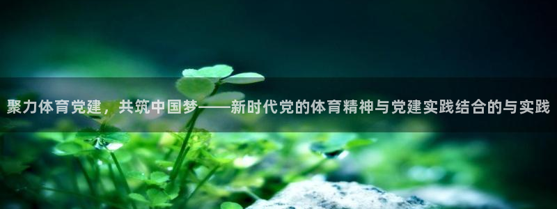 中欧体育网页登录