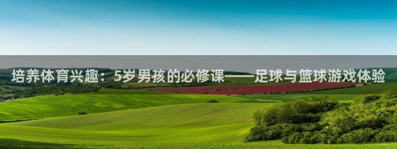 中欧体育平台