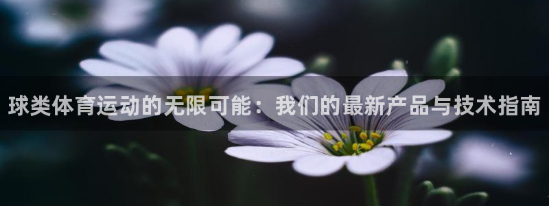 中欧体育网页版