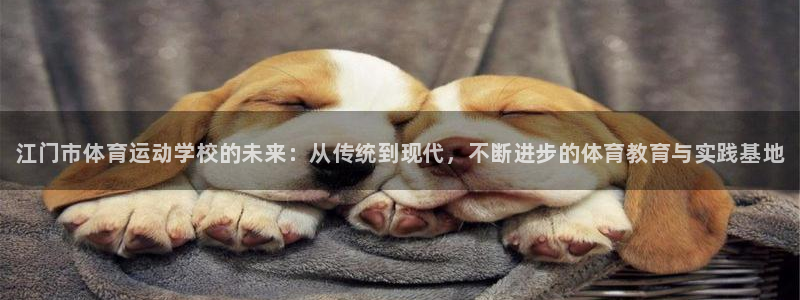 中欧体育(zoty)官网