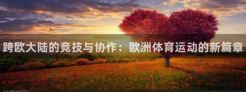 kok中欧体育