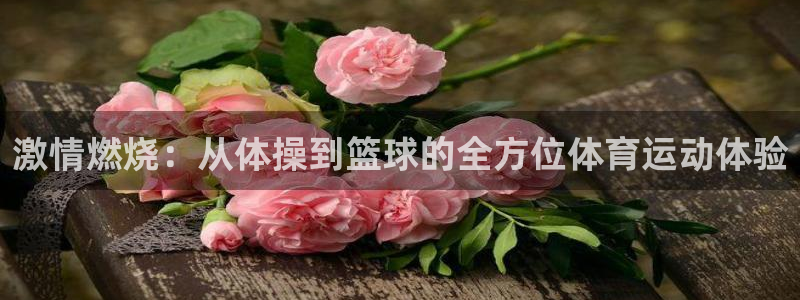 中欧体育客服