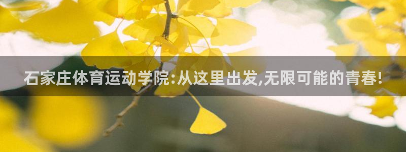 中欧体育kok