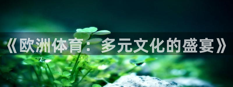 中欧体育zoty下载