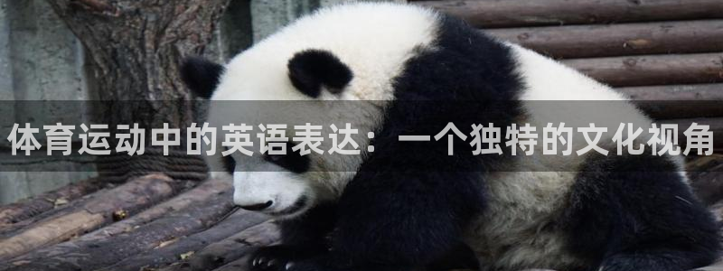 中欧体育在线