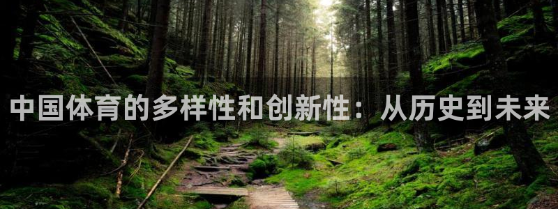 中欧体育集团