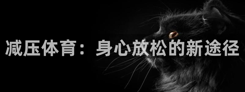 中欧体育官网入口
