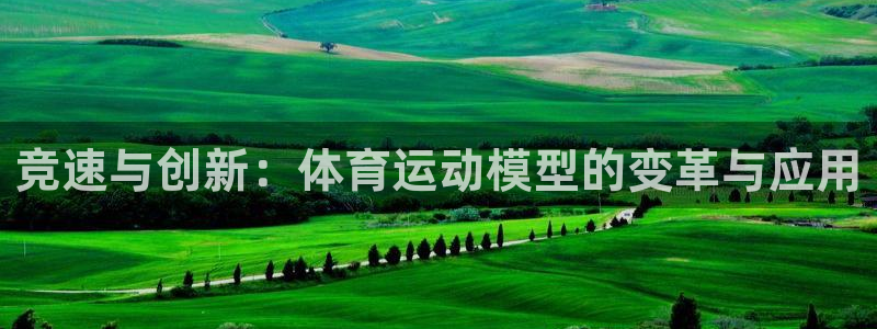 kok新版中欧体育