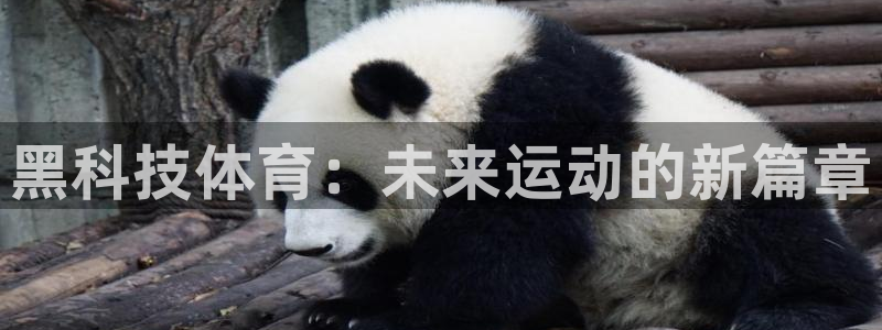kok中欧体育
